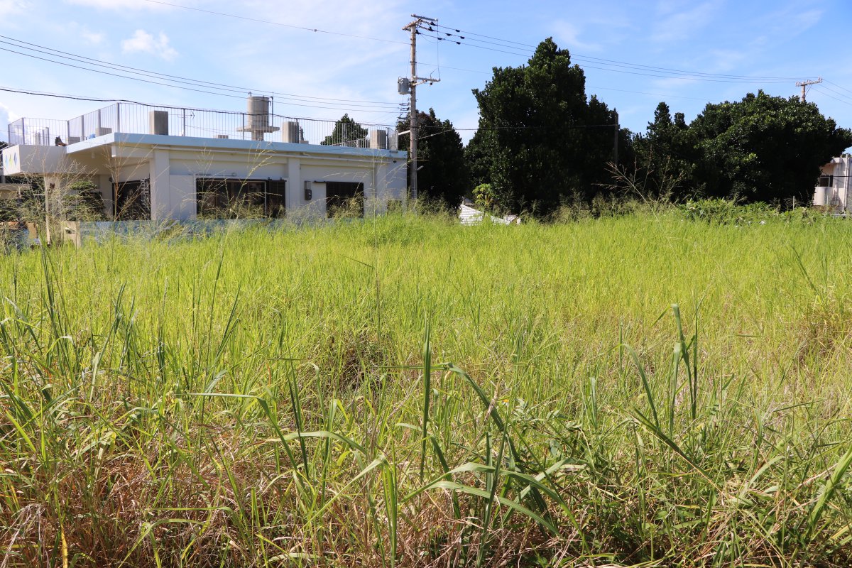 うるま市与那城 伊計島 売地 追加画像