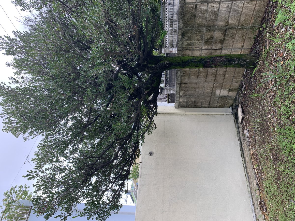 南風原町本部　兼本ハイツ　売戸建 追加画像